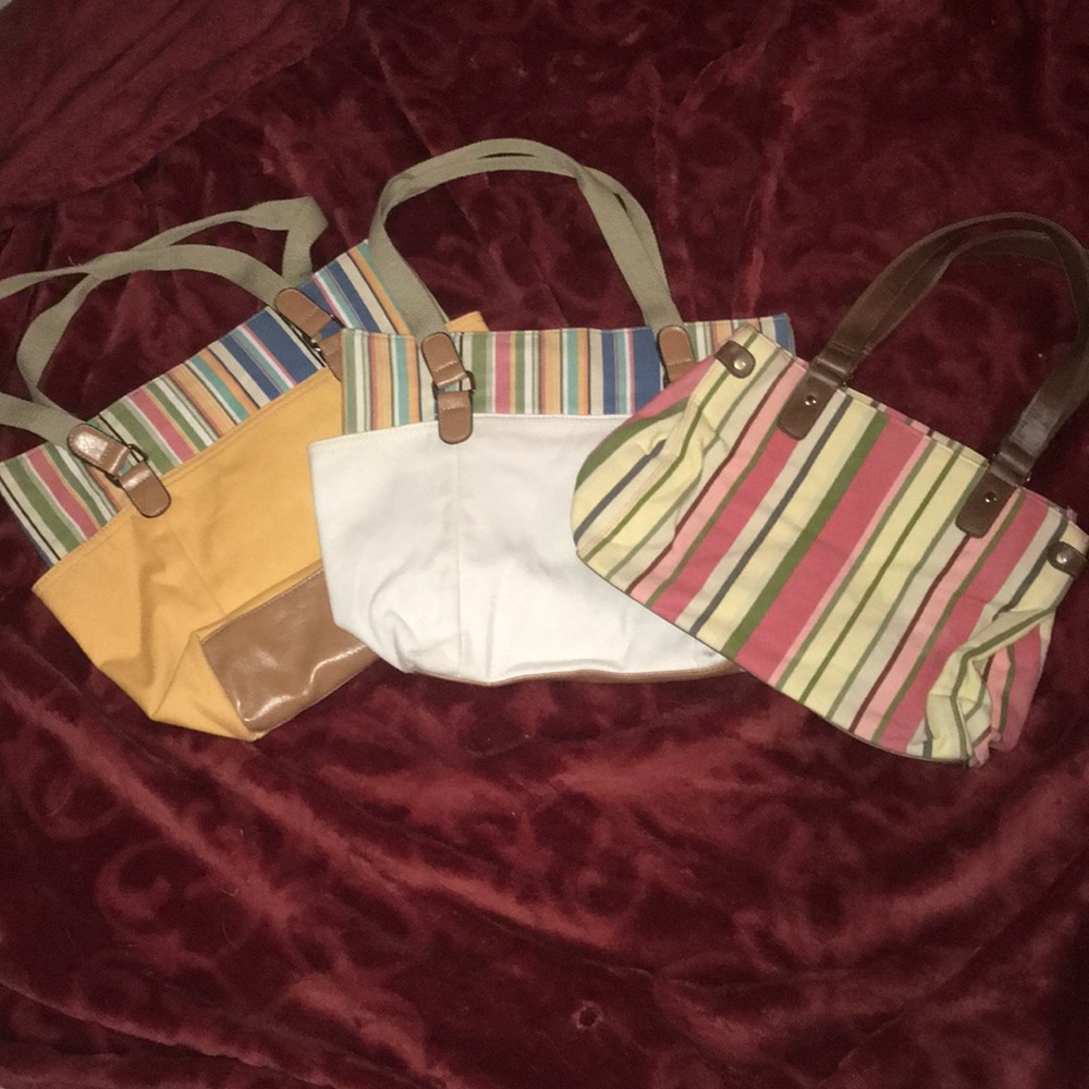 Assortment (3) of stripped bags